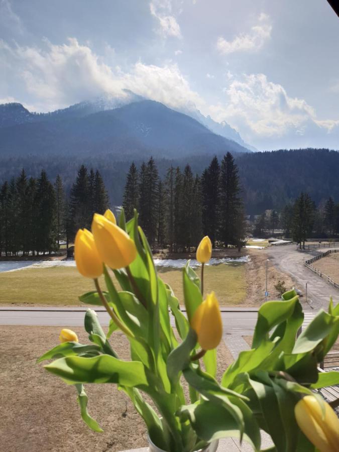 Apartma Kurji Vrh - Chicken Top Kranjska Gora Zewnętrze zdjęcie
