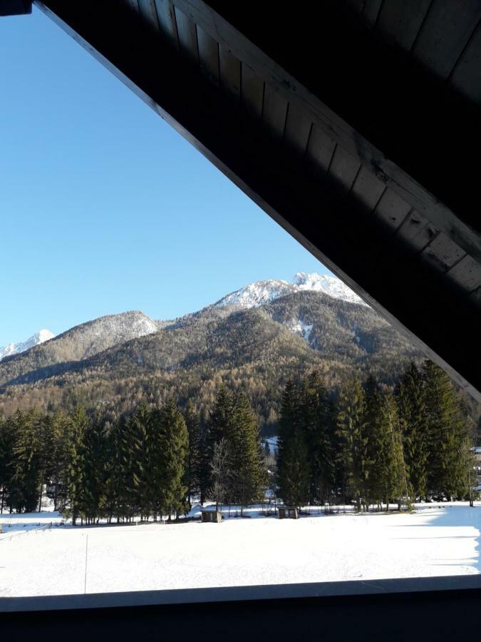 Apartma Kurji Vrh - Chicken Top Kranjska Gora Zewnętrze zdjęcie