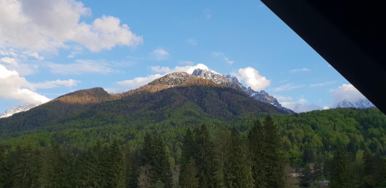 Apartma Kurji Vrh - Chicken Top Kranjska Gora Zewnętrze zdjęcie